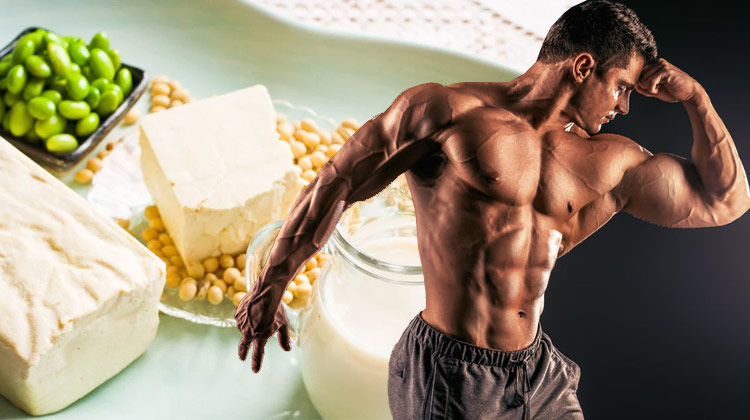 Does-Soy-Negatively-Affect-Your-Testosterone-Levels