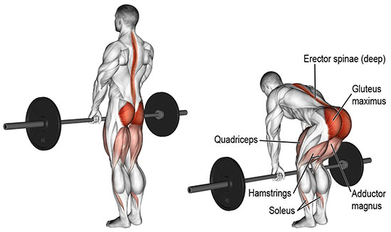 deadlifts-increase-testosterone1