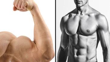 hormones-for-muscle-growth1
