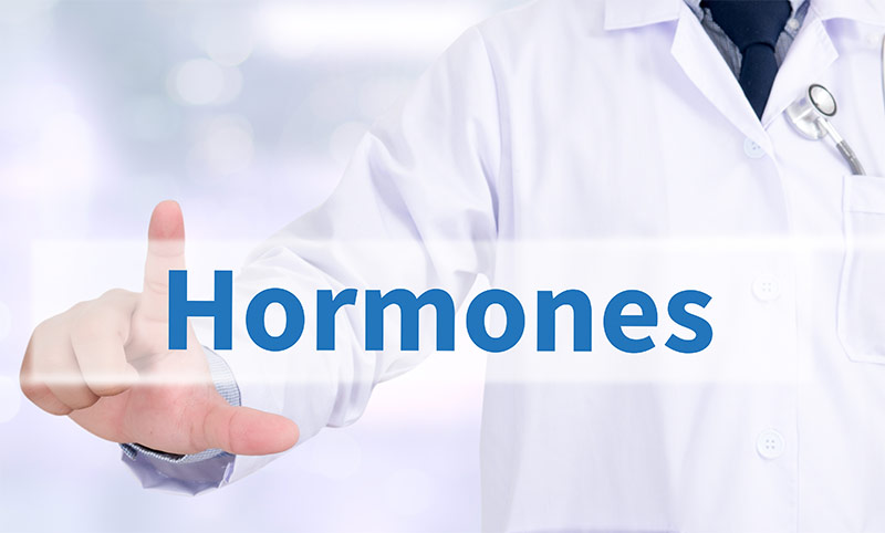 Hormones That Burn Fat Effectively