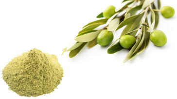 Is-Olive-Leaf-Linked-To-Fat-Loss