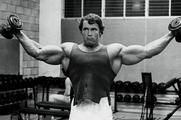 Shoulder Workout Arnold Schwarzenegger Full Body Workout Blog