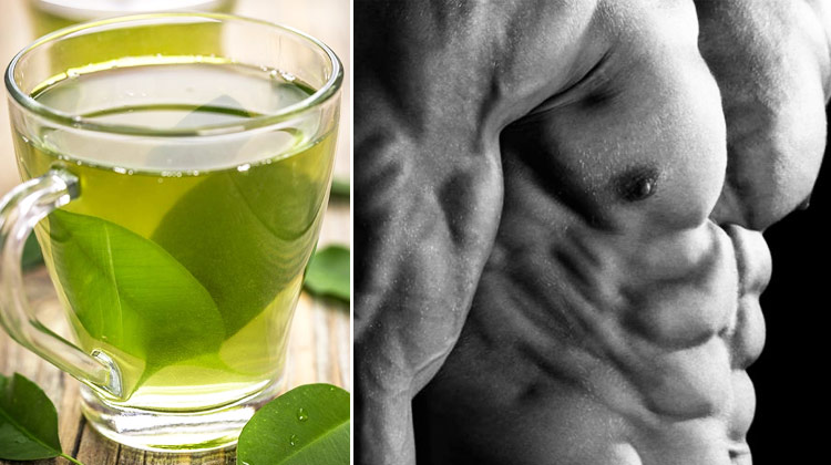 Best-Fat-Burner-With-Green-Tea