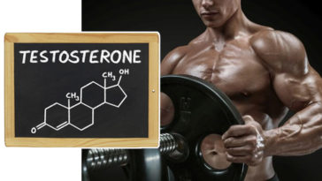 top 10 testosterone boosters 2018