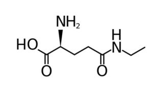 Chemical formula for L theanine