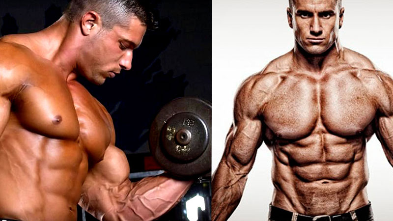 Are 3 Days Splits Enough to Build Muscle Mass