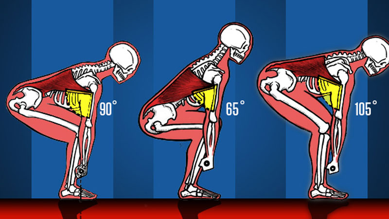 Kinetics and kinematics of a deadlift