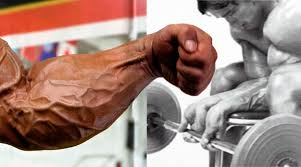 Grip strength forearm muscles without equipment