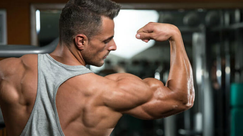 Male athlete showing off biceps muscle hypertrophy mechanisms