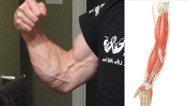 Superhuman Grip Strength: Grip Exercises Without Equipment • SpotMeBro.com