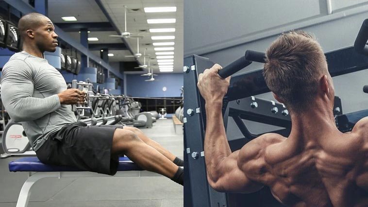 Alternative exercises 2024 for lat pulldown