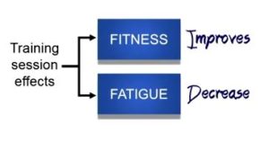 Fitness and fatigue effects