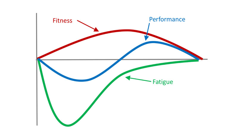 Fitness-fatigue-model-diagram