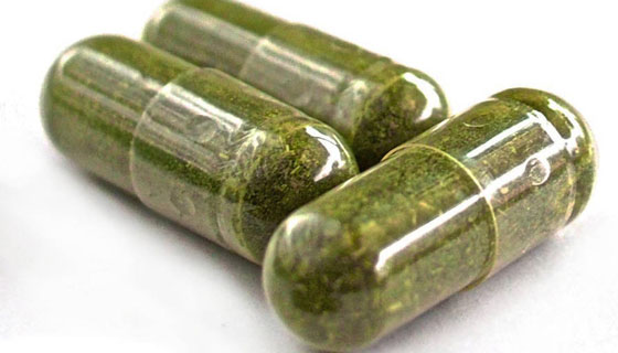 Green-tea-extract