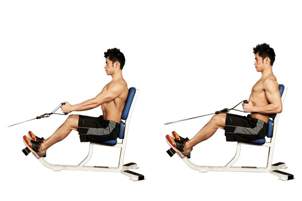 seated-row-cable
