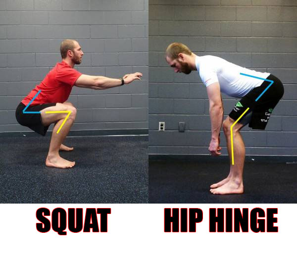 Deadlift Or Squat Which Is Best For Mass 8769