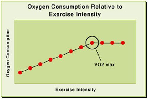 What is VO2 max