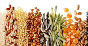 whole grains that're complex carbs for muscle gain