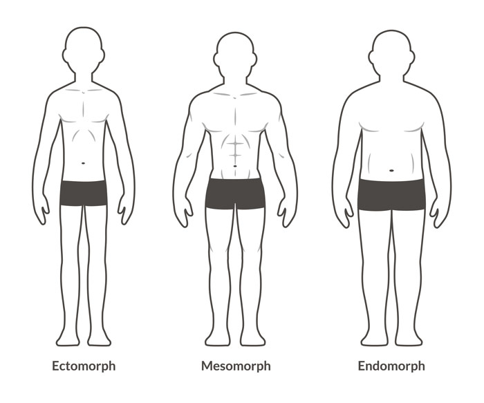 3 bodybuilding bodytypes from genetics
