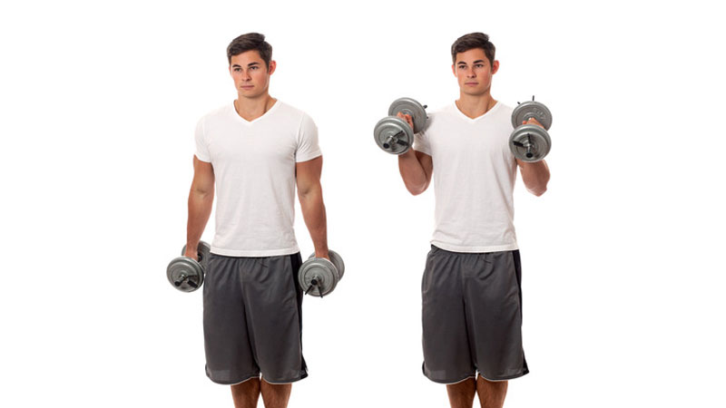 Hammer curls