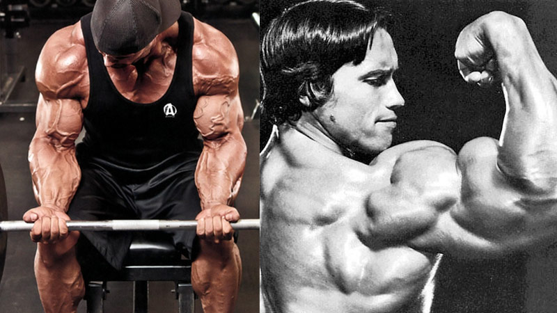 how to grow forearms and wrists