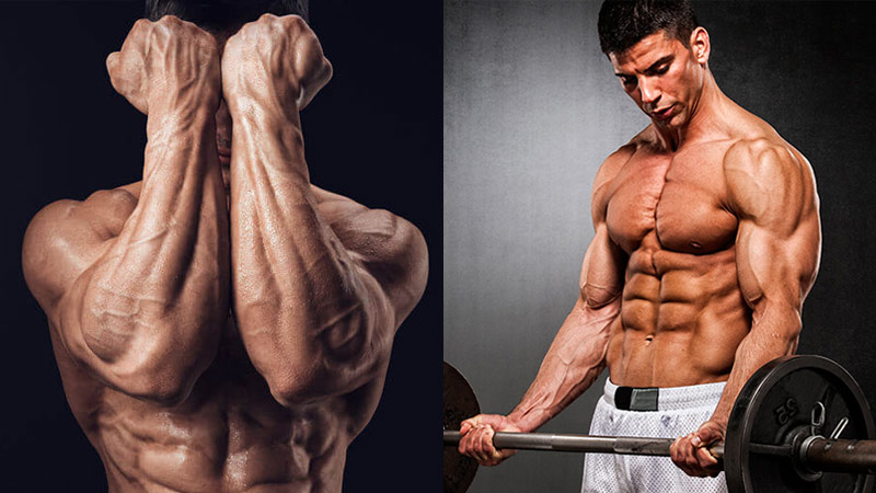 Tricep Curls: Do Them Like A Pro! •