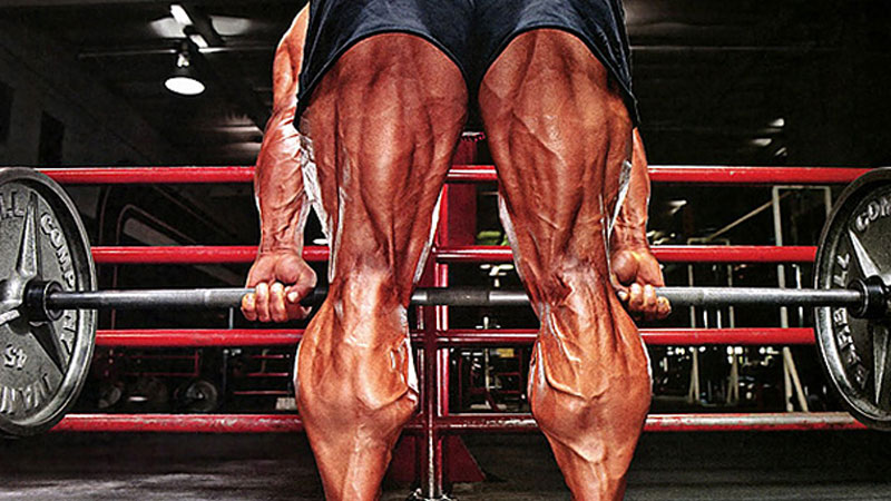 Leg Curl: Master All Leg Curl Workouts and Do It Like a Pro
