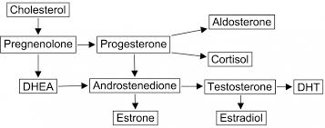 Steroidogenic pathway