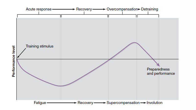 Stimulus adaptation overtraining and testosterone