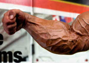 A flexed forearm of a bodybuilder showing high amount of lean mass and muscle gain