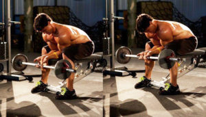 bodybuilder demonstrating seated barbell curl