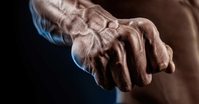 bodybuilders fist showing grip strength important in maximising muscle growth through forearm training