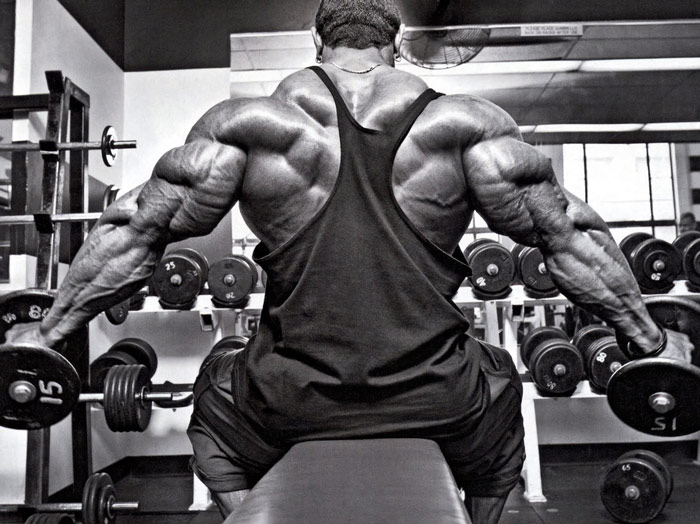 image showing a bodybuilder with big triceps built using tricep curls