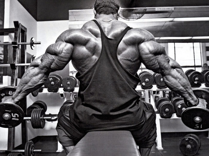 Tricep Curls: Do Them Like A Pro! •