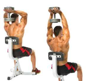 example of seated tricep extension