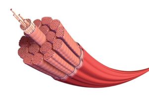 fibras musculares de tríceps