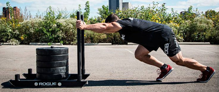 Best Prowler workout program for Build Muscle