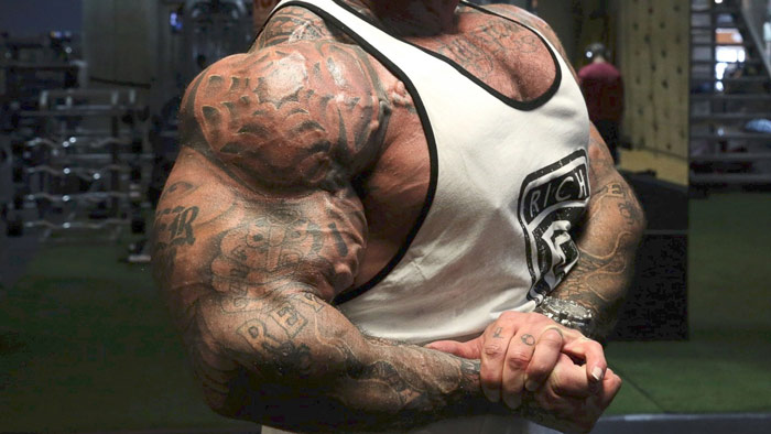 close up image of bodybuilder rich piana's arms and chest