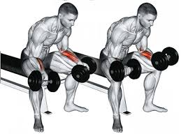 Wrist Curls How To Do It Like A Pro And Master It The Right Way SpotMeBro