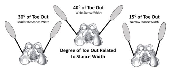 Squat stance width