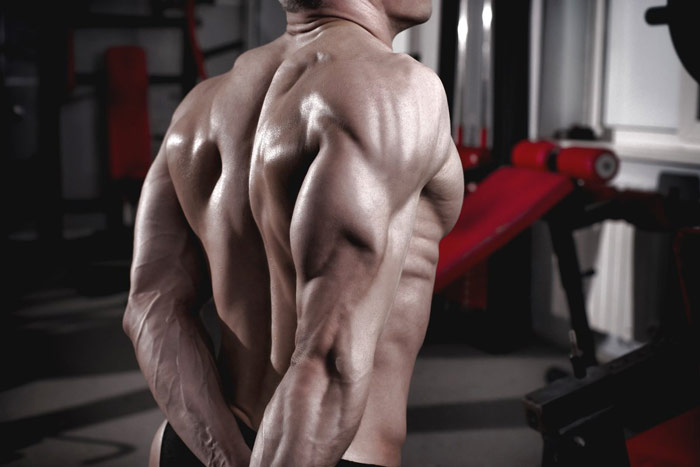 bodybuilder showing highly developed triceps