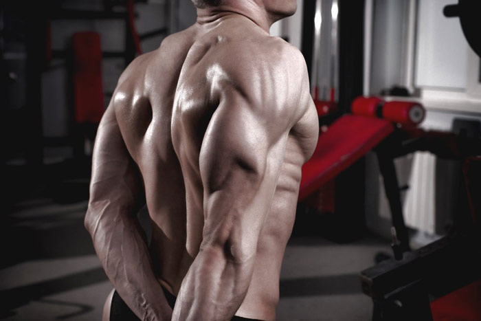 bodybuilder montrant des triceps hautement développés