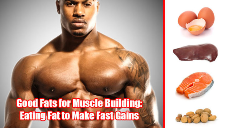 Fat Create Good Fats For Muscle Building: Eating Fat To Make Fast Gains ...