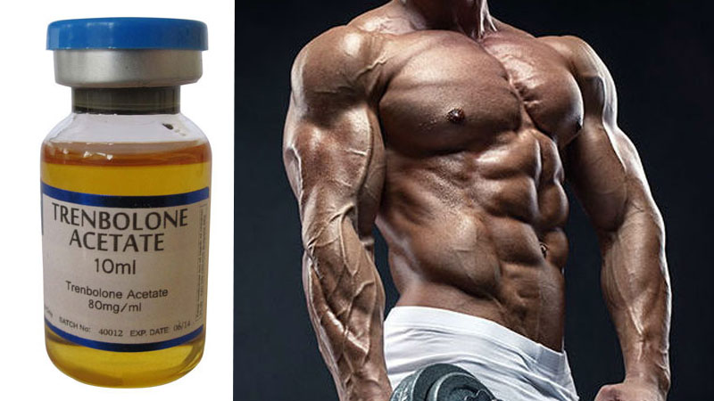 Trenbolone - What You Need to Know: Usage, Cycle & Side Effects