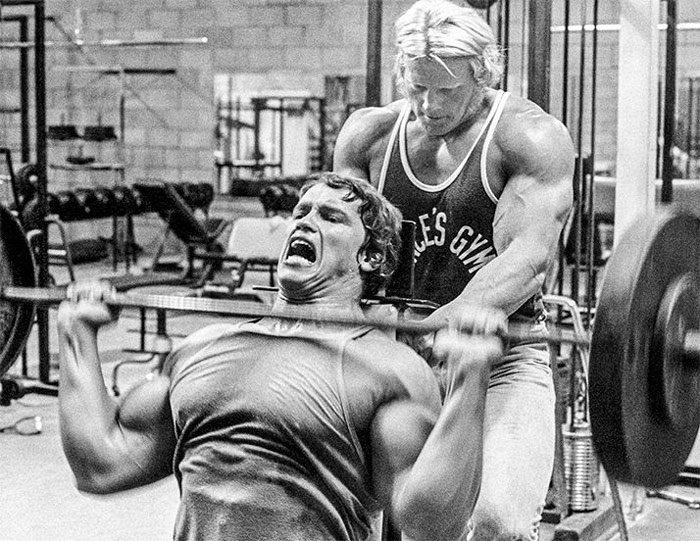 arnold schwarzenegger showing volume training is optimized for muscle hypertrophy and using ppl split