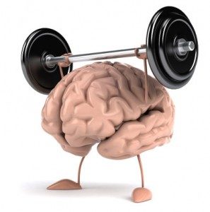 Brain muscle memory
