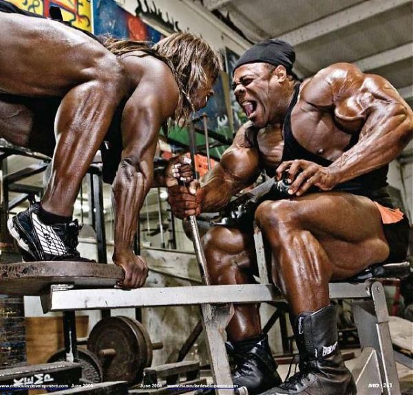 kai greene partner seated calf raise