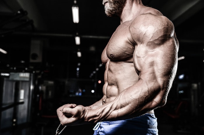 Push pull legs online hypertrophy program