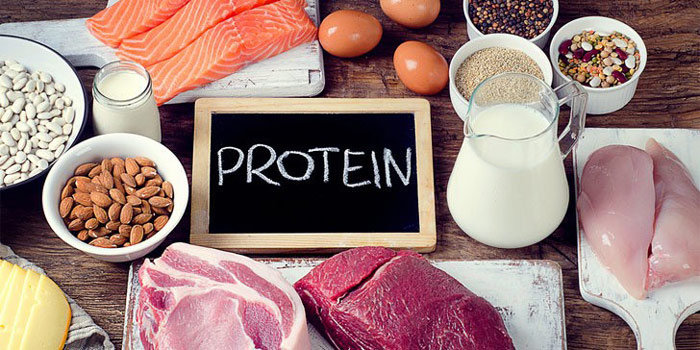 various protein sources