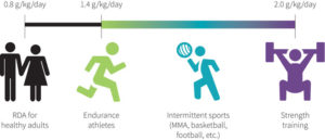 RDA protein needs of adults